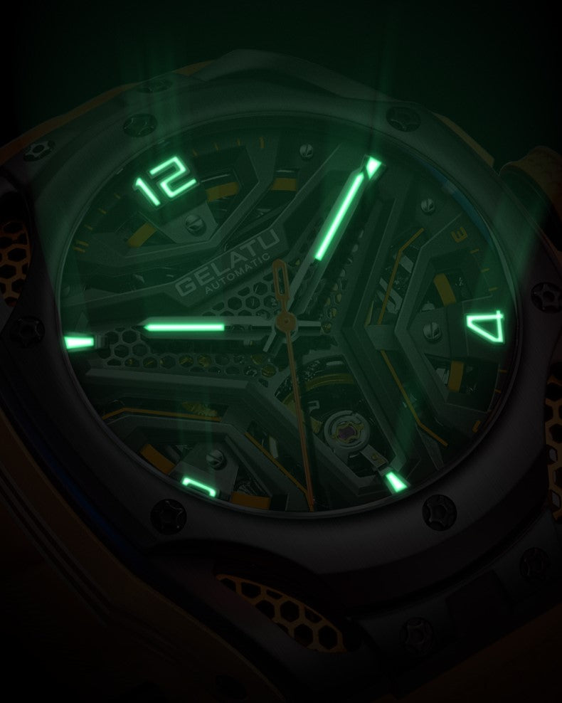 Titan men's mechanical watch - luminous hands and hour markers